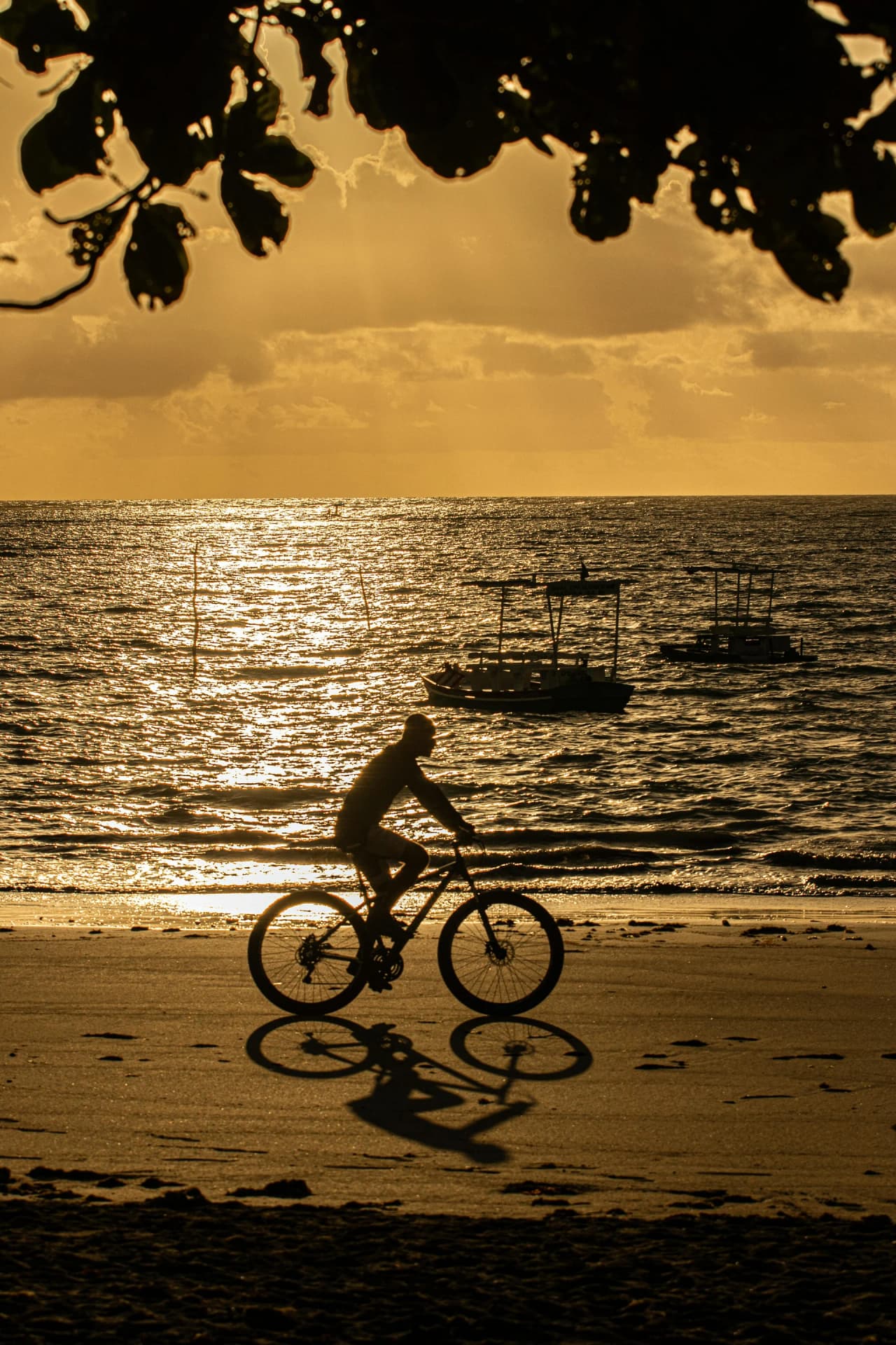Bicicleta na Rota Ecológica